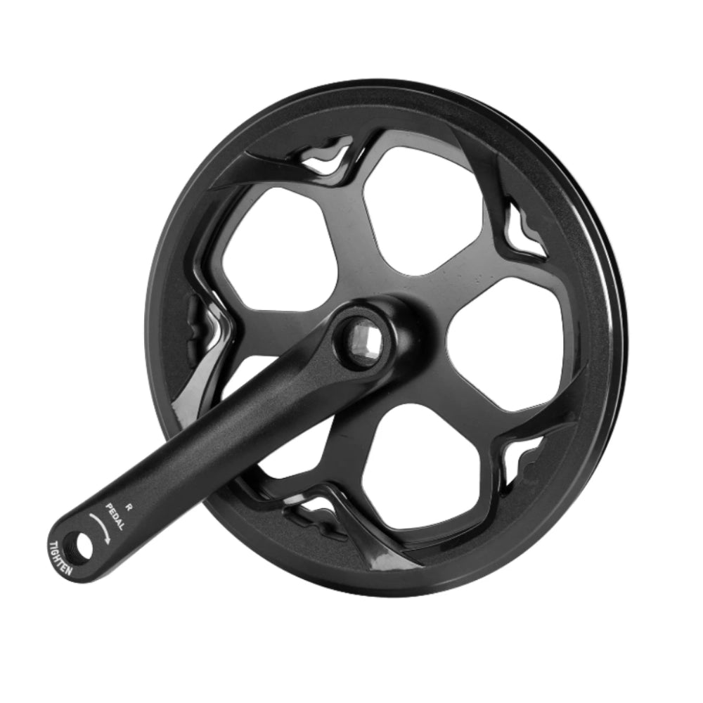 Right Crank Arm & Chainring Assembly